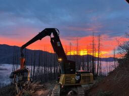Cat 568LL Yarder and Thrower
