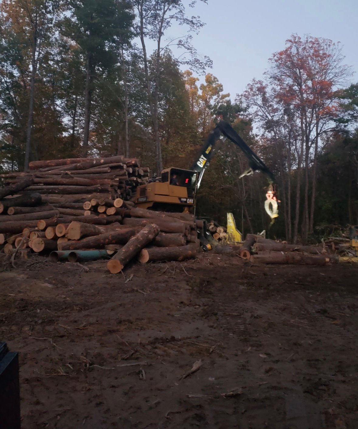 Cat 559B Log Loader